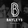 Logo of Bayleys of Bromsgrove