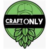 Logo of Craft Only